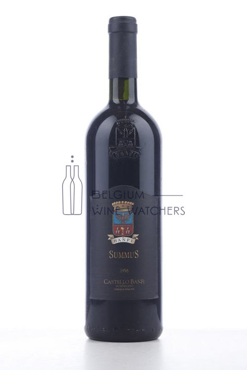 Picture of 1996 SUMMUS